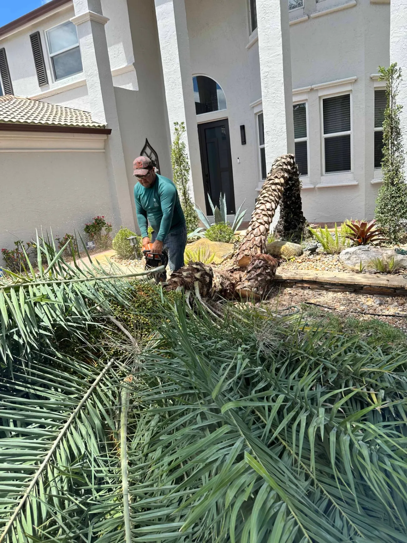 hedge installation Virginia Gardens, FL