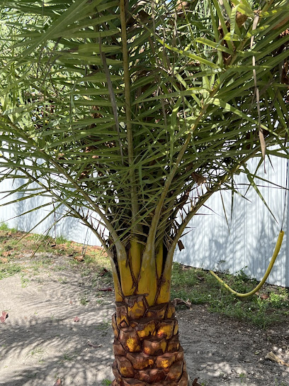 Gallery image 3 — landscape installation Miami