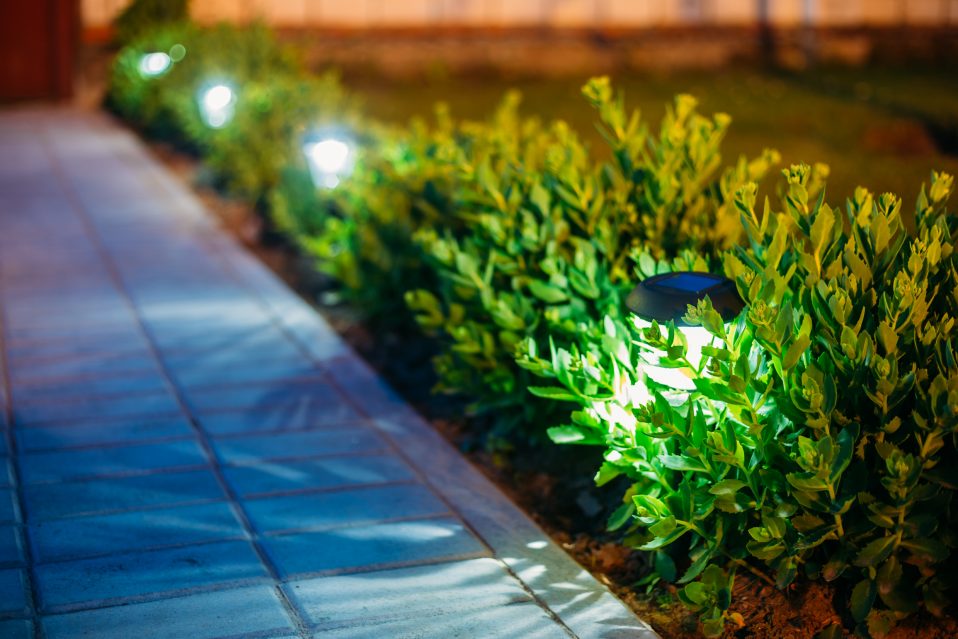 Gallery image 2 — garden center in Miami