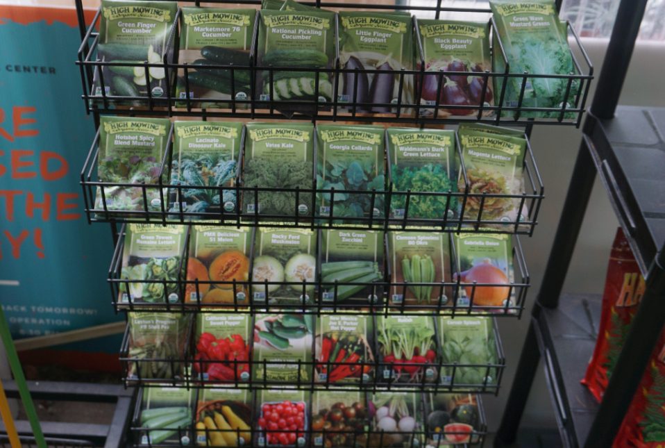 Gallery image 11 — garden center in Miami