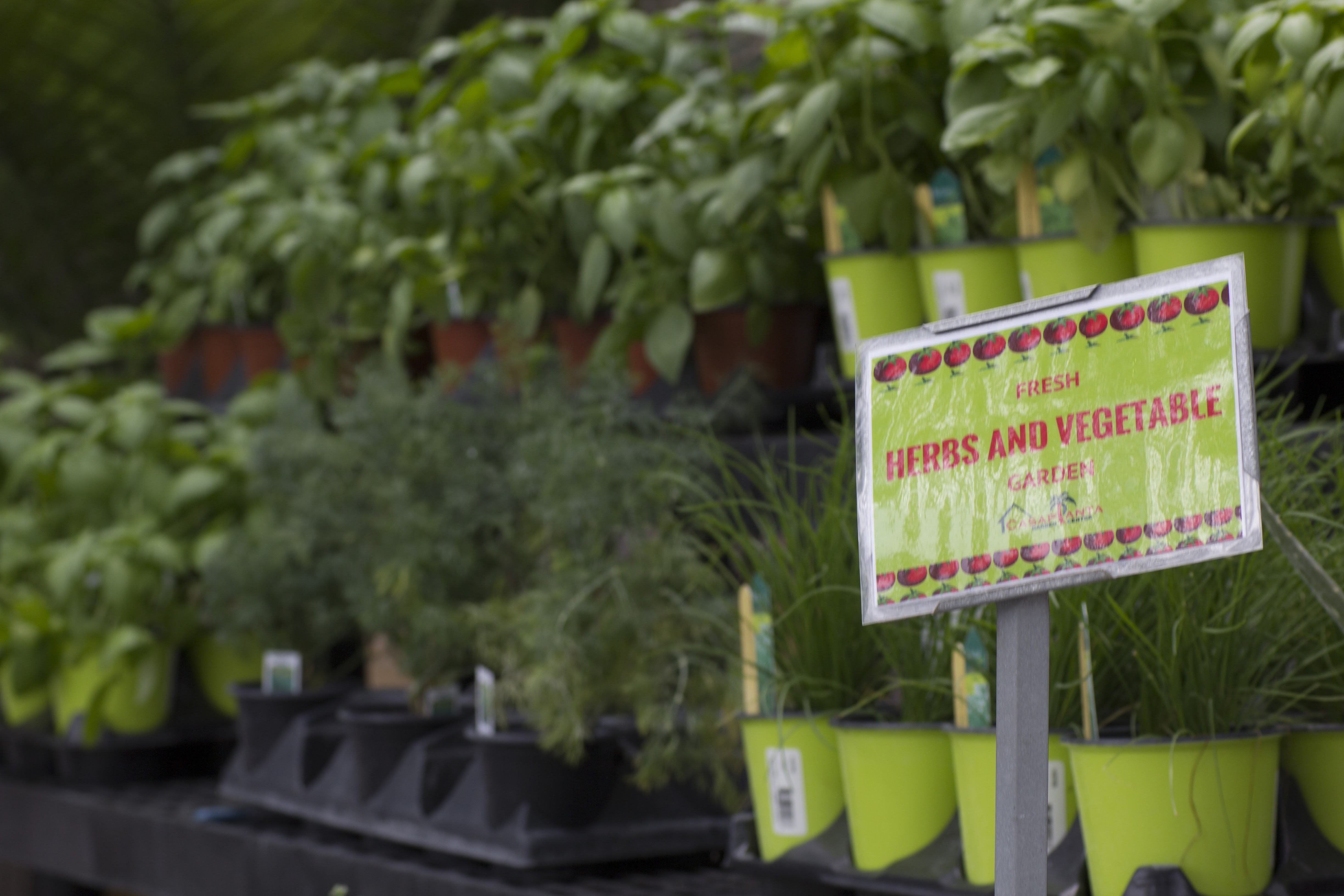 Gallery image 15 — garden center in Miami