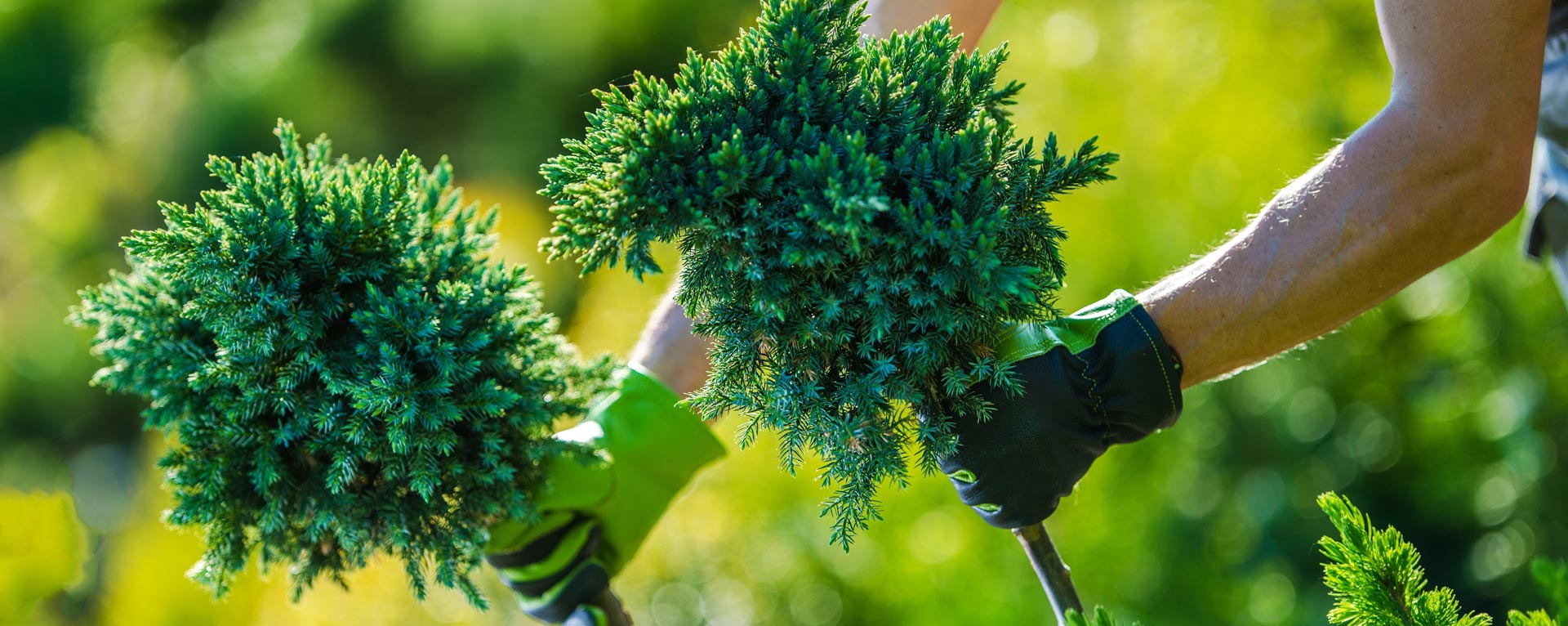 plant nursery Miami FL