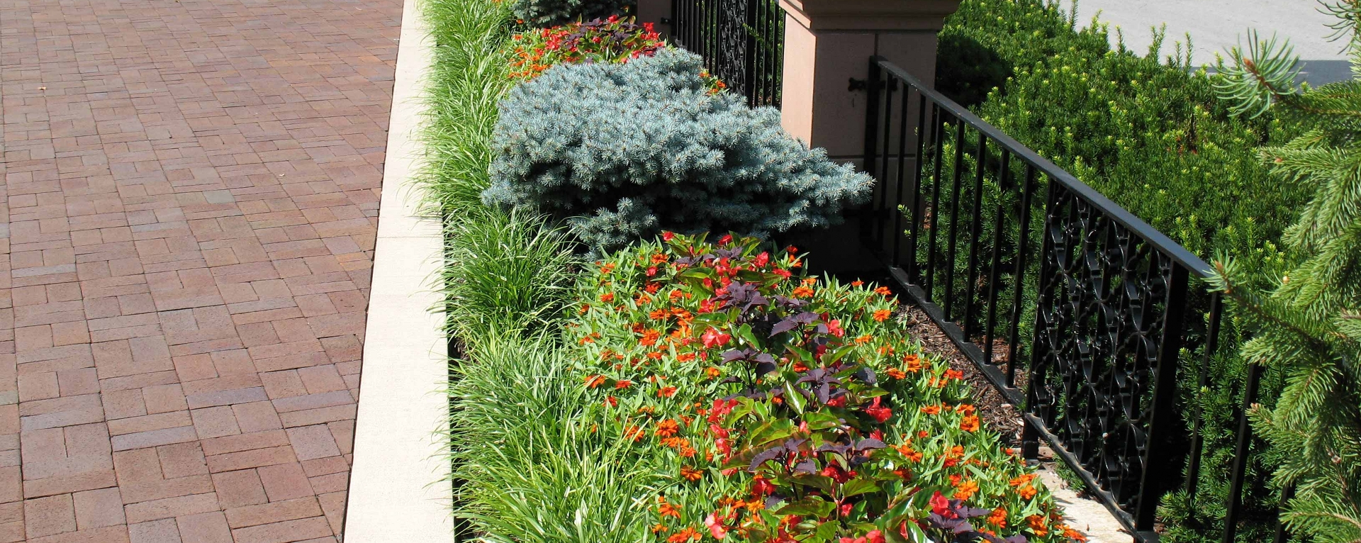 Divine Landscaping photo