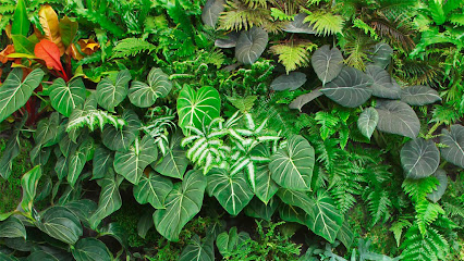 green wall installation Miami