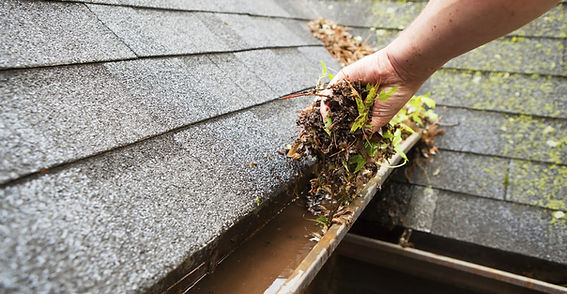 Gallery image 2 — gutter maintenance Peachtree City