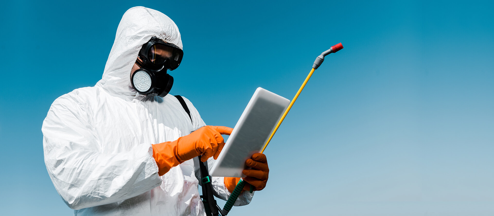 emergency pest control near me