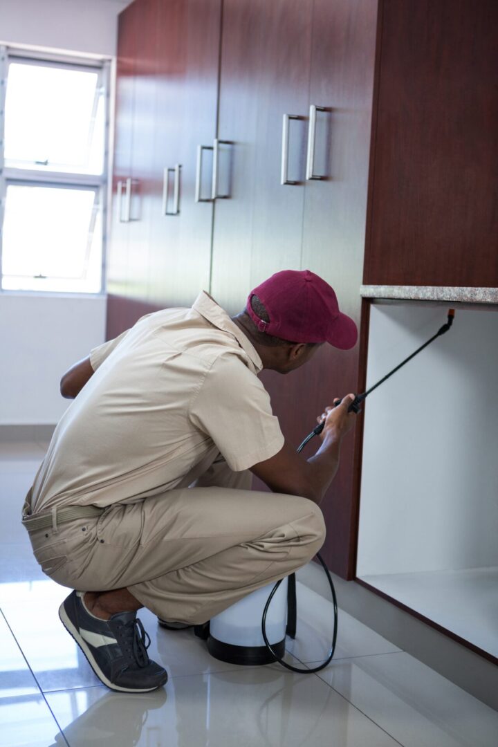 Gallery image 4 — emergency pest control near me