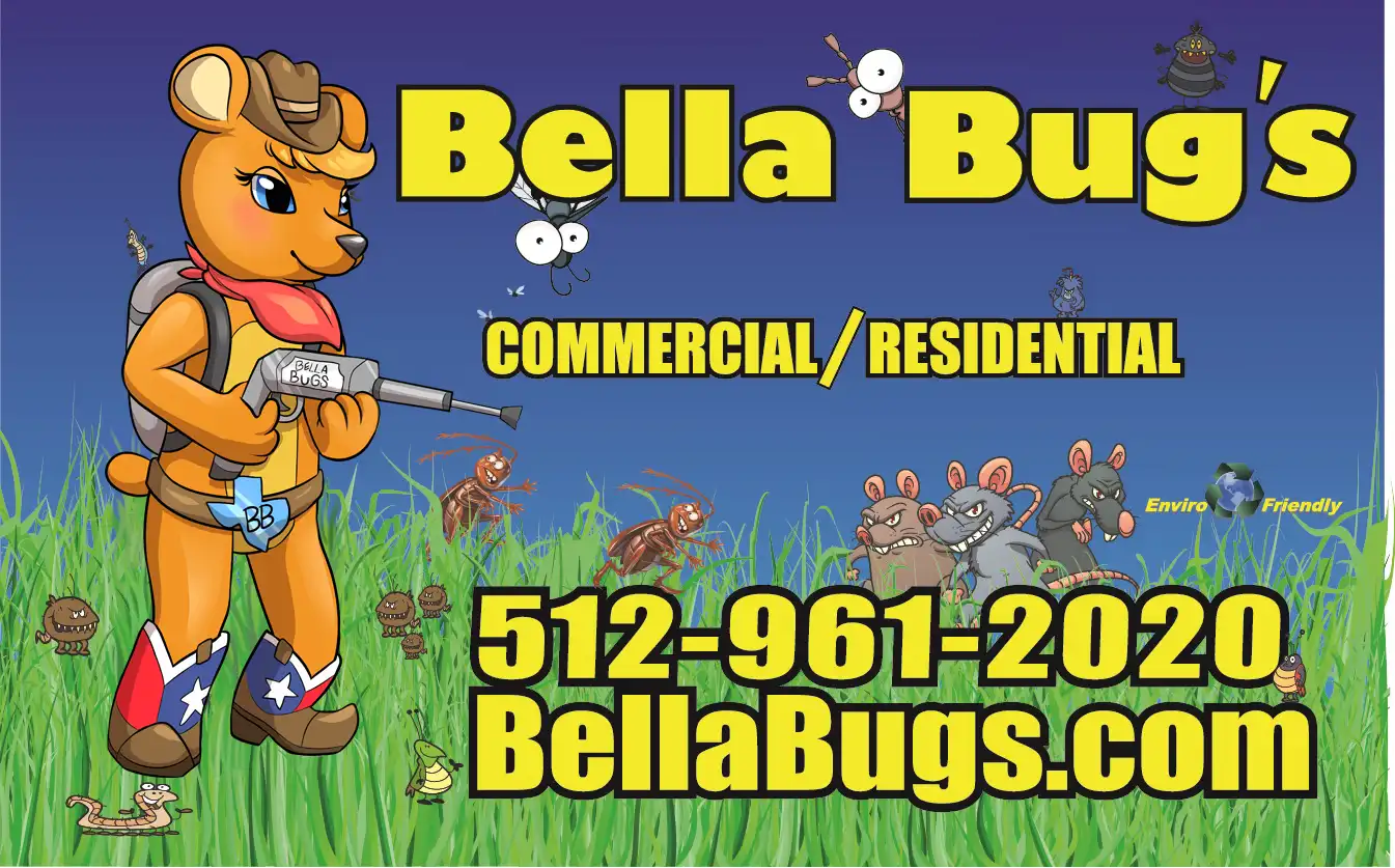 pest inspection Bella Bugs Pest Control