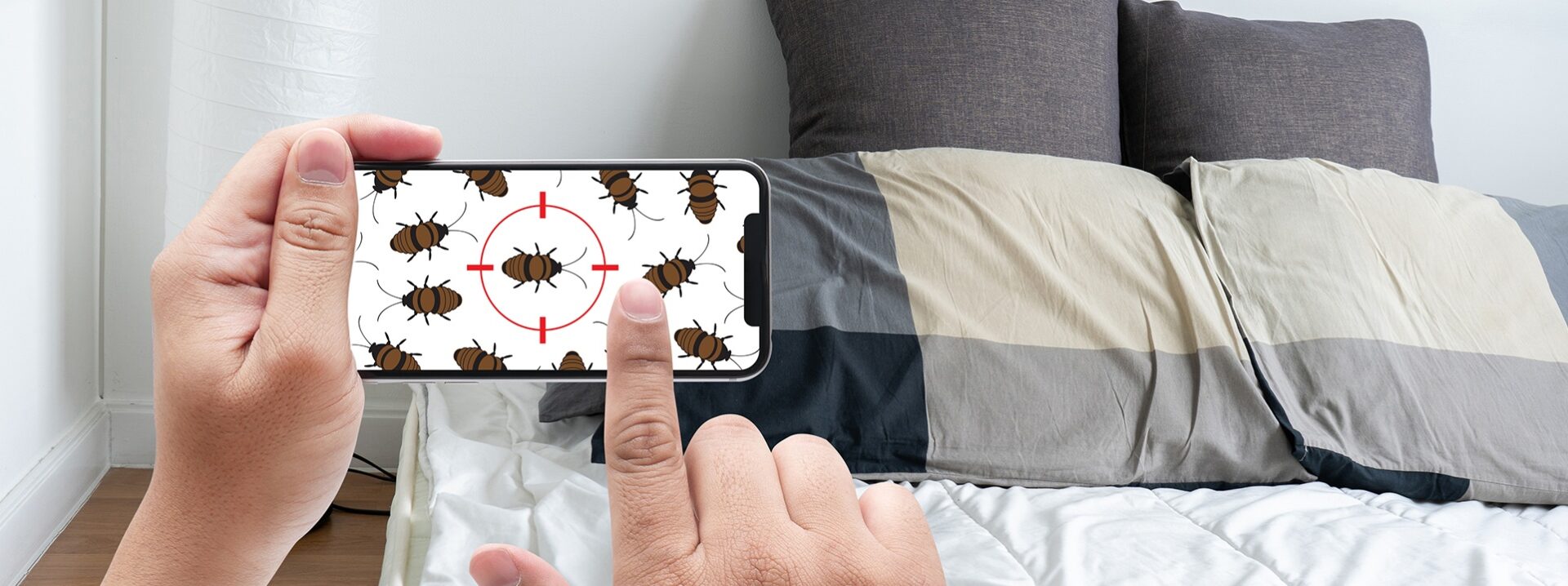 Gallery image 5 — emergency pest control near me