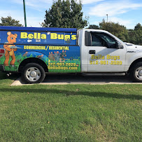 Gallery image 3 — emergency pest control near me