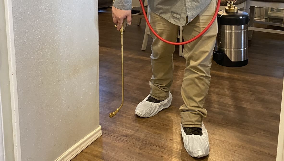 Gallery image 10 — bed bug removal Surrounding Areas