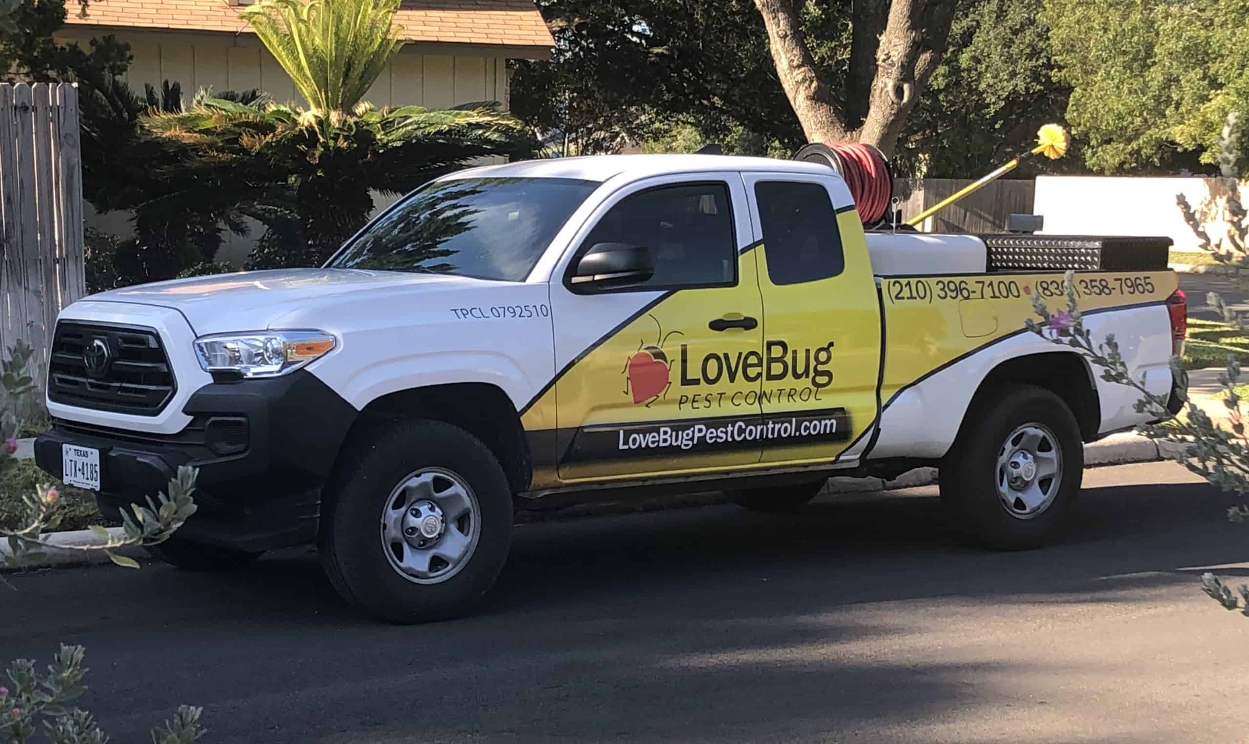 bed bug removal Surrounding Areas