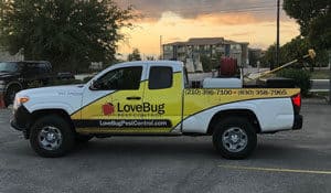 Gallery image 7 — bed bug removal Surrounding Areas