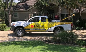 Gallery image 5 — bed bug removal Surrounding Areas