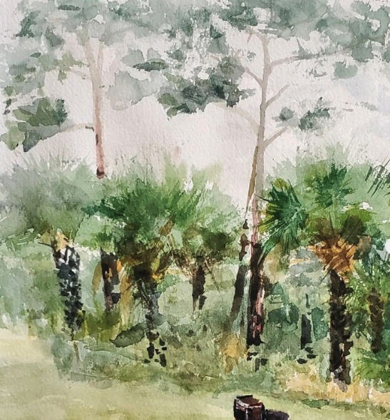 Gallery image 1 — NaMa Native Landscapes