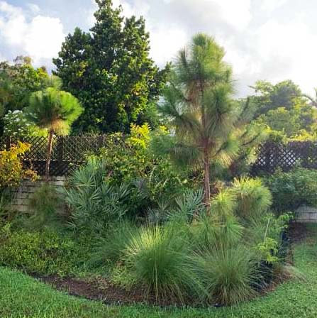 Gallery image 4 — NaMa Native Landscapes