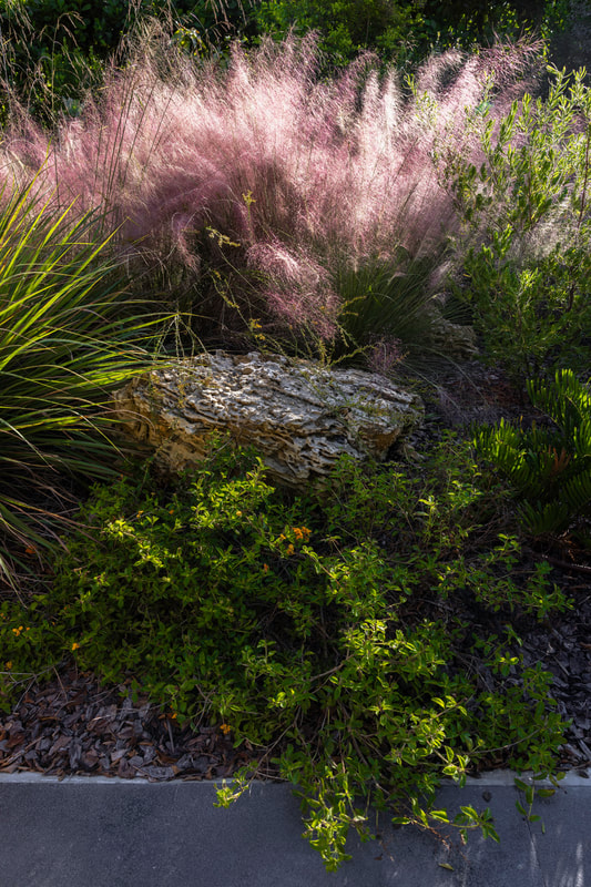 Gallery image 6 — NaMa Native Landscapes