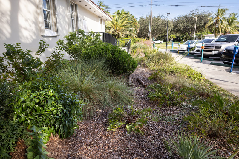 Gallery image 7 — NaMa Native Landscapes