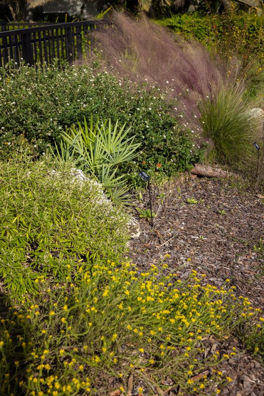 Gallery image 9 — NaMa Native Landscapes