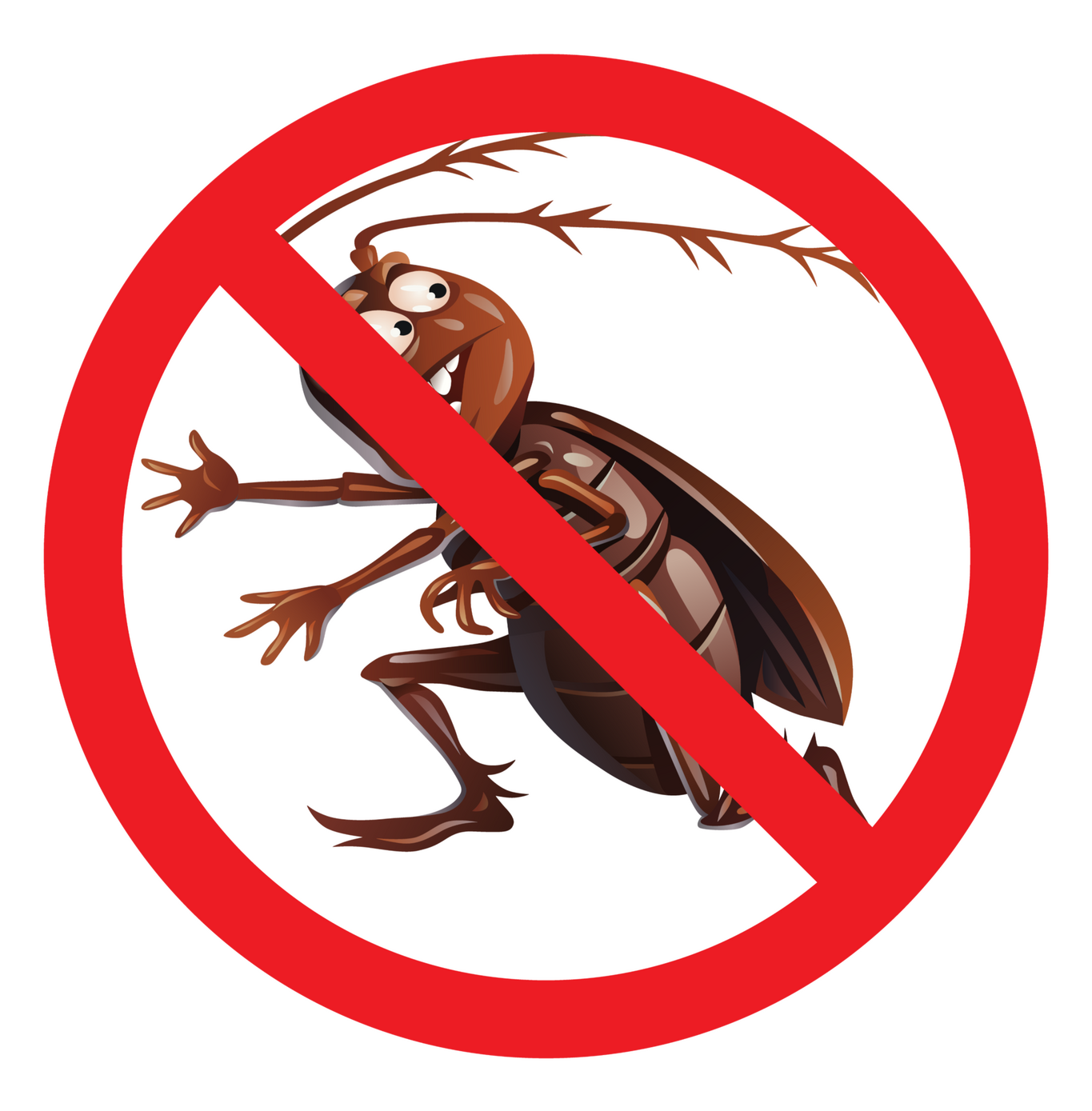 Gallery image 3 — termite control near me