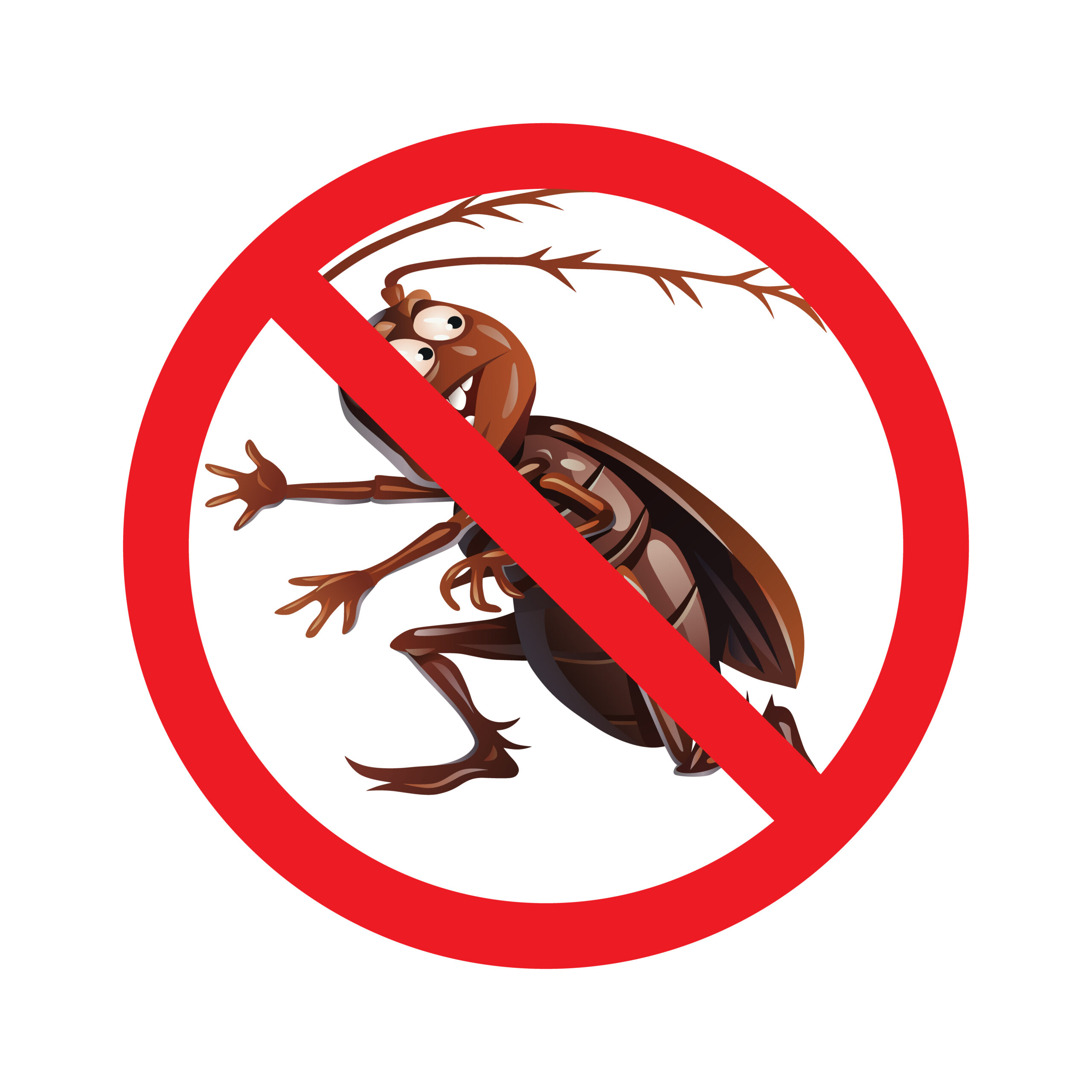 Gallery image 8 — termite control near me