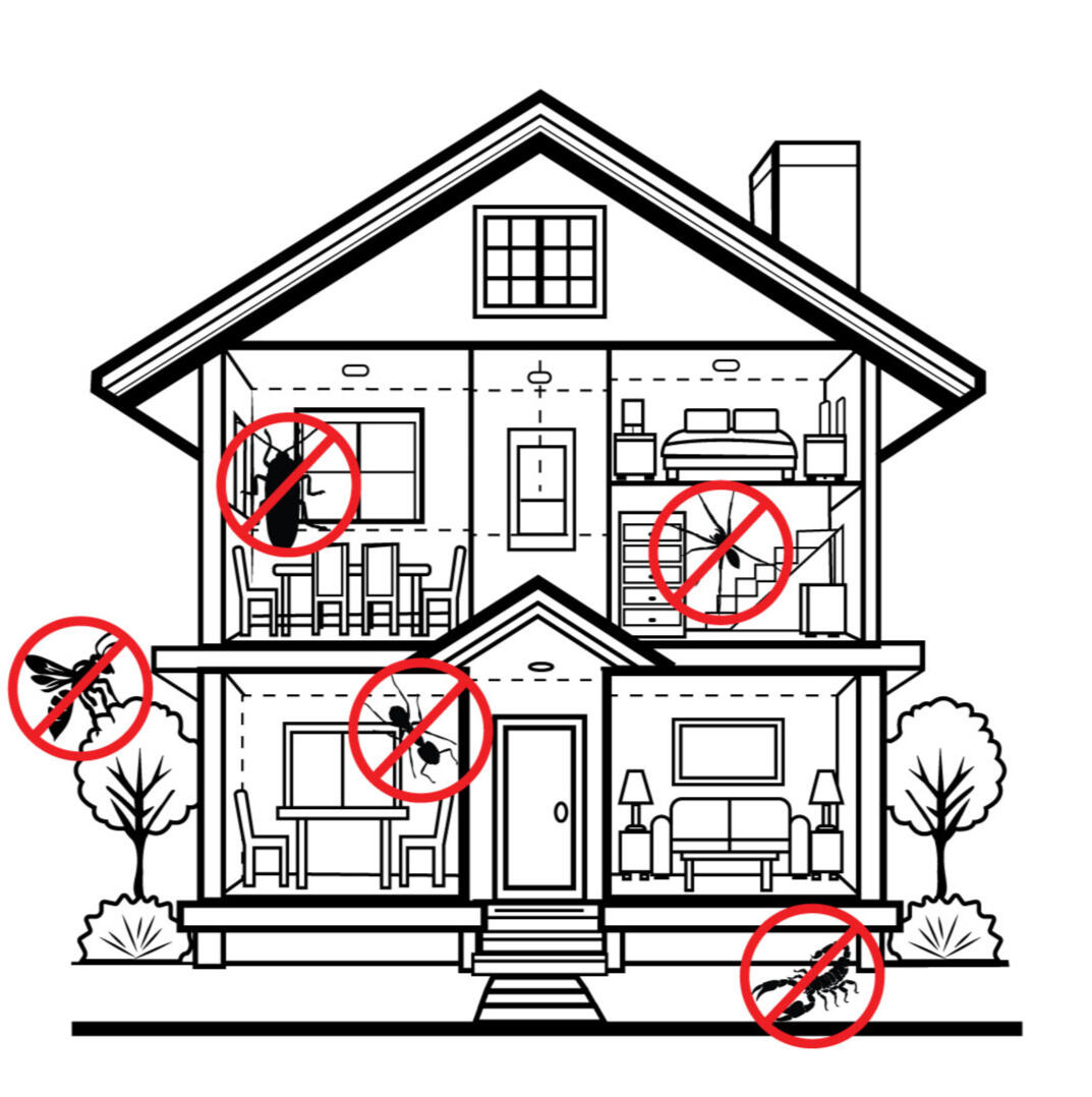 Gallery image 6 — termite control near me