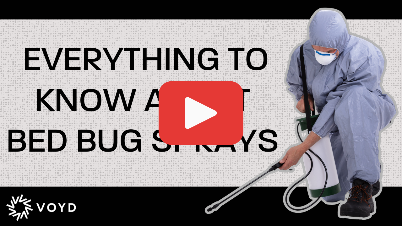 Gallery image 1 — local bed bug control Houston