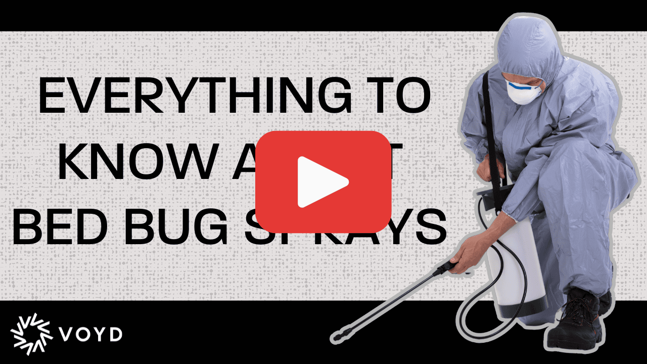 Gallery image 6 — local bed bug control Houston