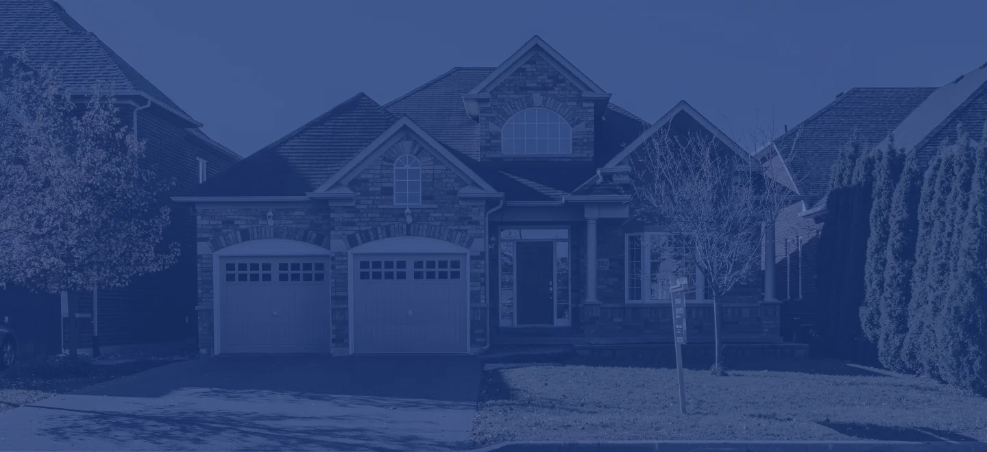 mold removal near me