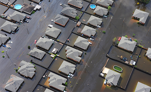 flood cleanup near me