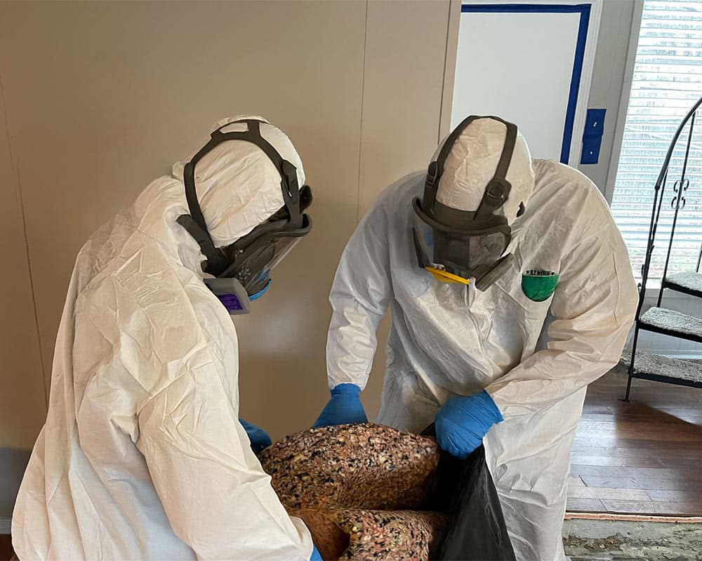 Gallery image 3 — emergency mold removal Austin