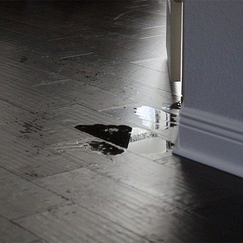 Gallery image 7 — emergency mold removal Austin