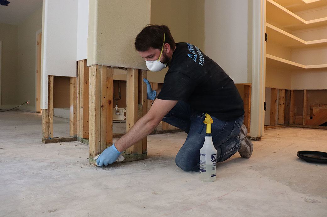 Gallery image 4 — emergency mold removal Austin