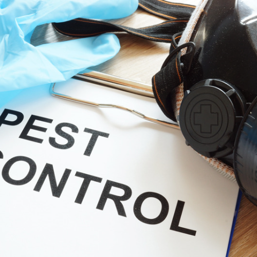 grub worm control %AREA%