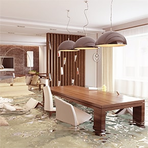 Gallery image 3 — mold removal services Austin, TX