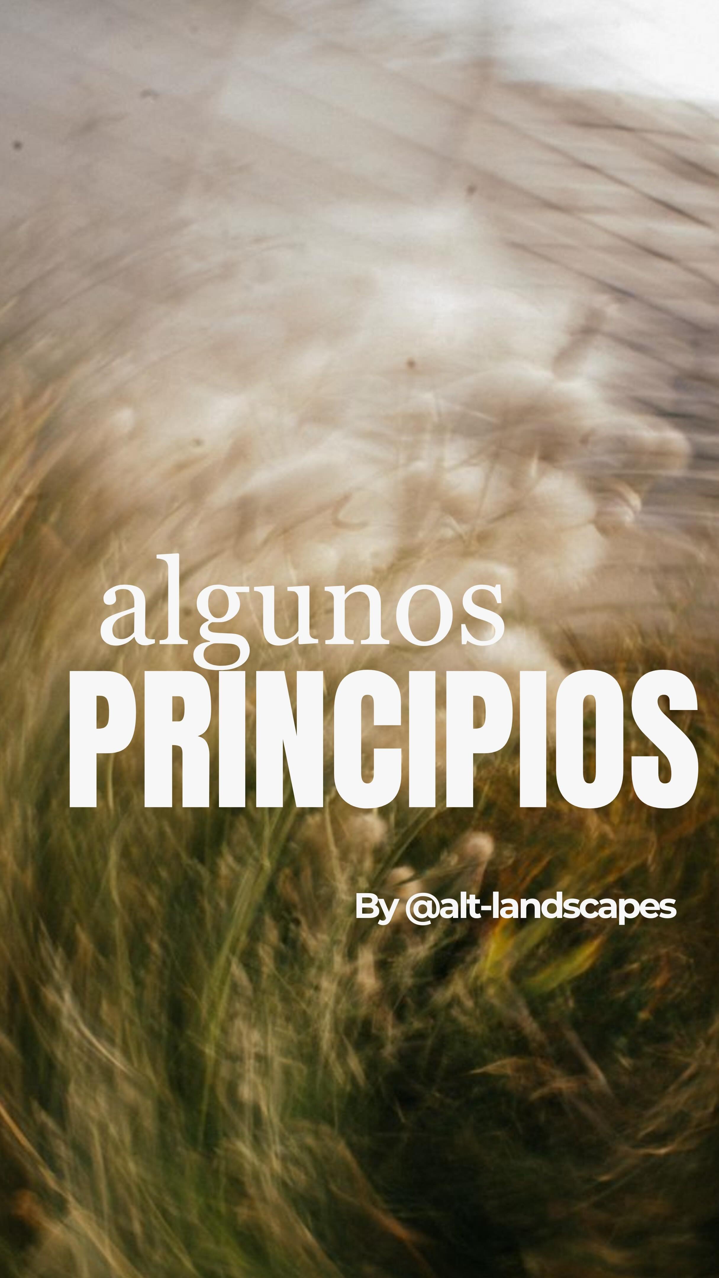 Gallery image 6 — sustainable landscape design Alt-landscapes