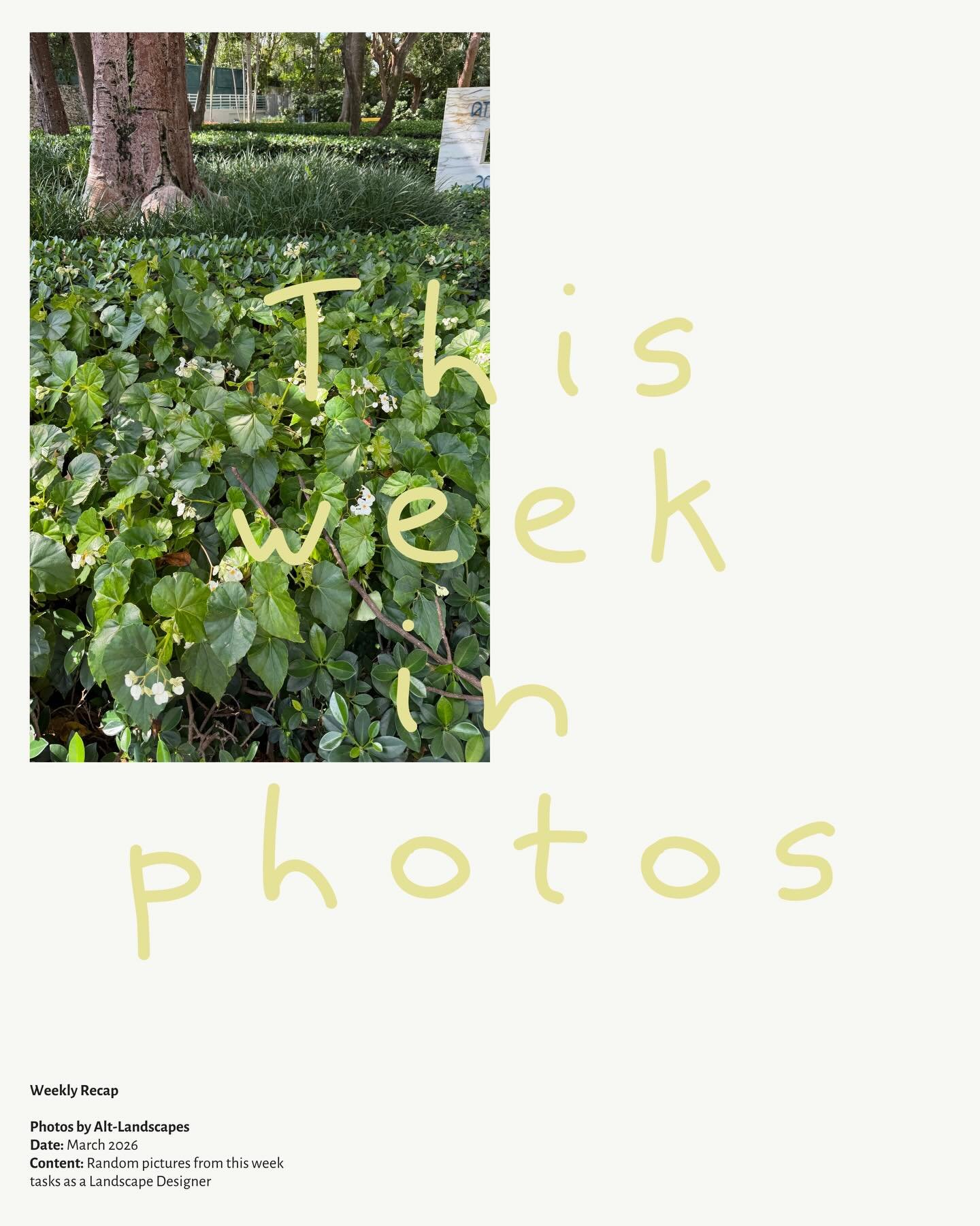 Gallery image 9 — sustainable landscape design Alt-landscapes