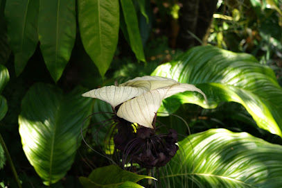sustainable landscape design Alt-landscapes