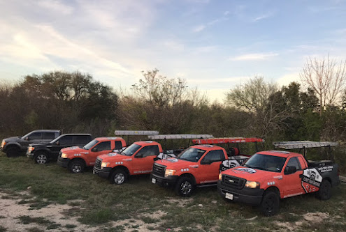 Gallery image 4 — pest control near me San Antonio