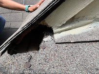 Gallery image 5 — pest control near me San Antonio
