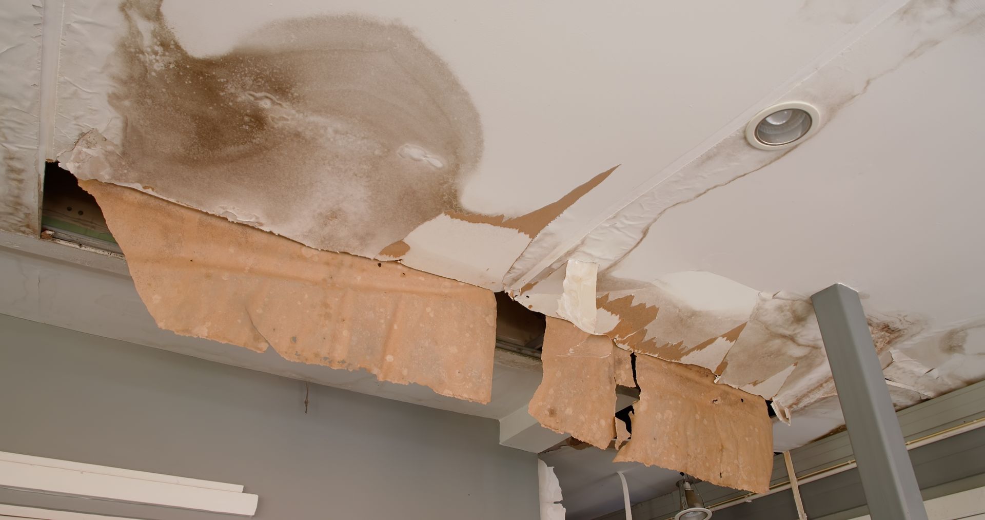 Gallery image 11 — structural drying services Avondale