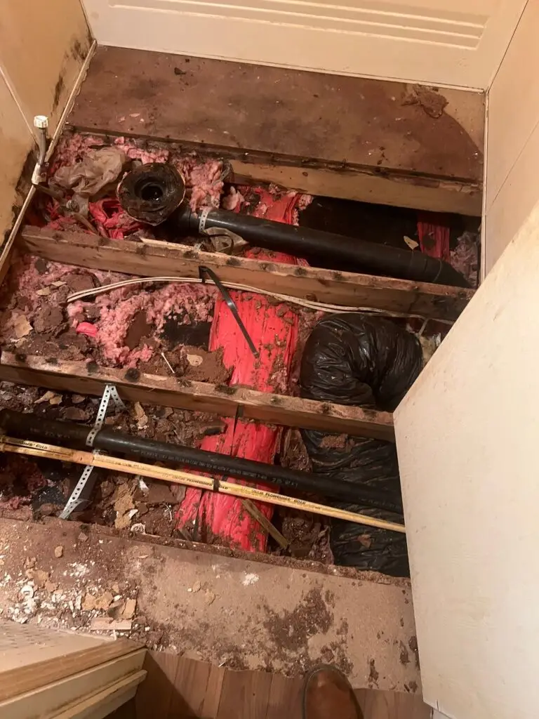 Gallery image 2 — mold inspection Pflugerville
