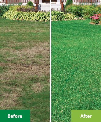 Lawn Doctor