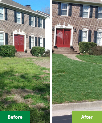 Gallery image 6 — Lawn Doctor