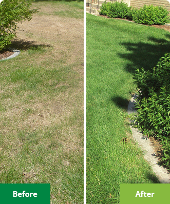 Gallery image 2 — Lawn Doctor