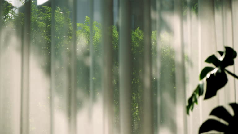 PlantScape Miami