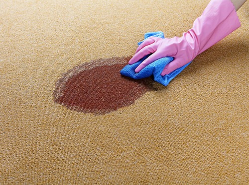 Gallery image 15 — shag rug cleaning Oakland