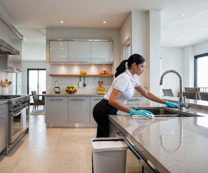 About house cleaners in South Bay area