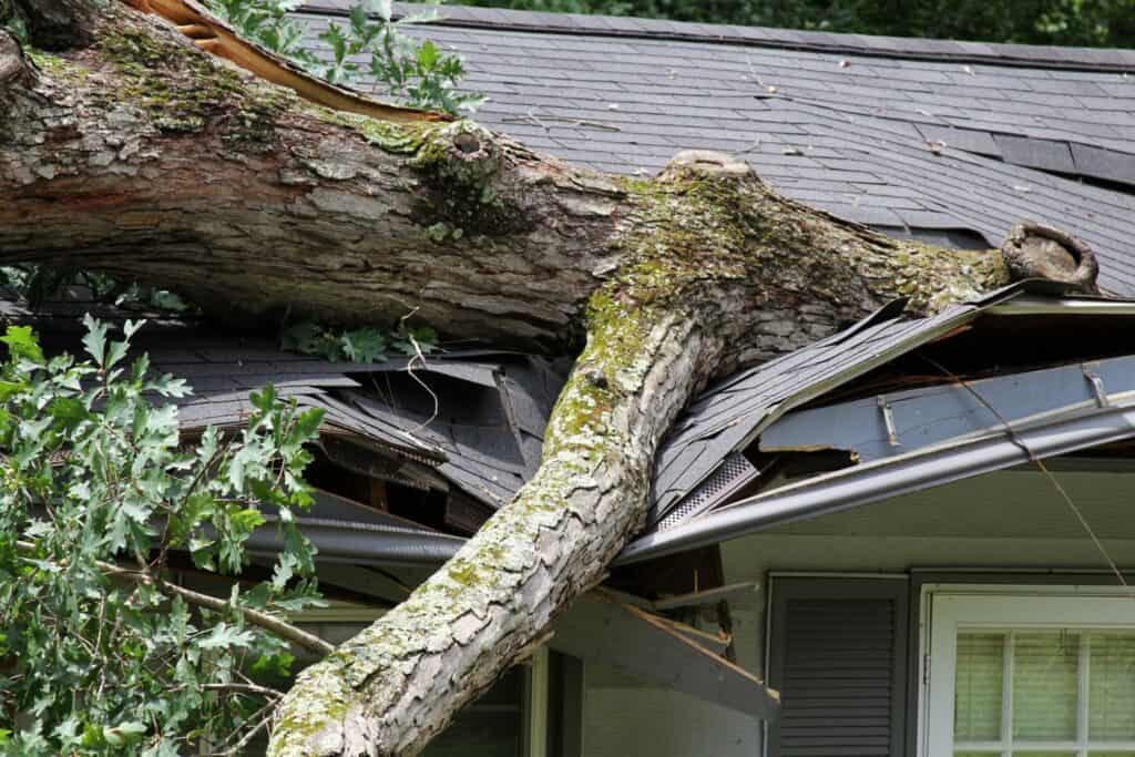 water damage restoration in Austin