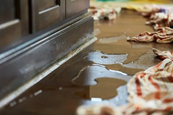 Gallery image 6 — sewage cleanup Austin